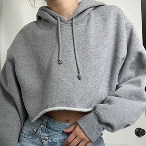 Aritzia TNA Cozy Fleece Boyfriend Cropped Hoodie – Light Grey - Size 3